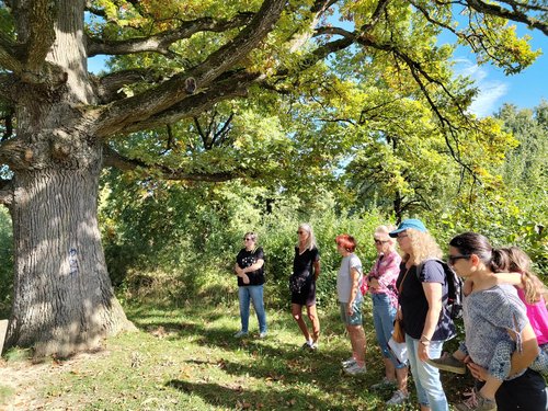 Eine Menschengruppe steht unter einer Huteeiche, einem solitär stehenden Baum der früher Vieh Schatten spendete