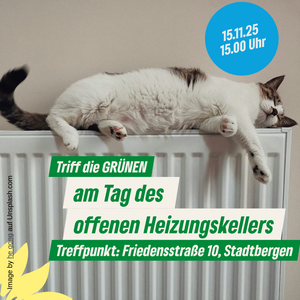 Einladung zu Triff die GRÜNEN. Katze liegt auf Heizkörper